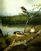 broderna von wrights bergfinkar oil painting picture wholesale